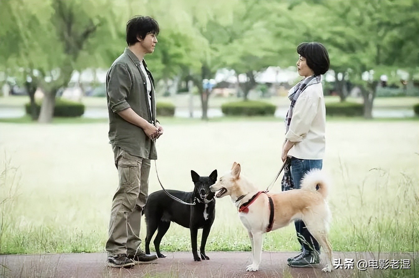 使出毕生所学，一定要把这些无缘院线的电影看一遍