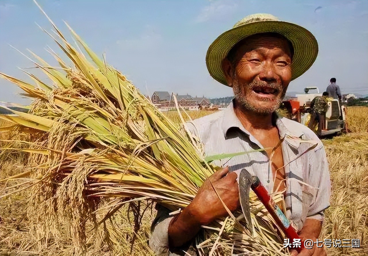 世界五大粮食生产国是哪些,世界前十大粮食生产国