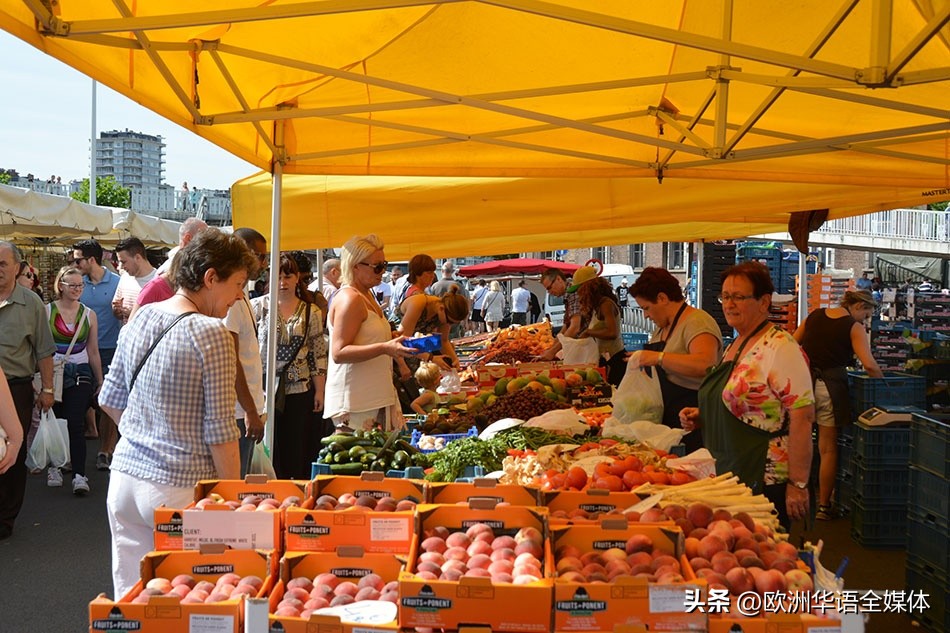 比利时最大牛市场,世界上最大的蝙蝠市场