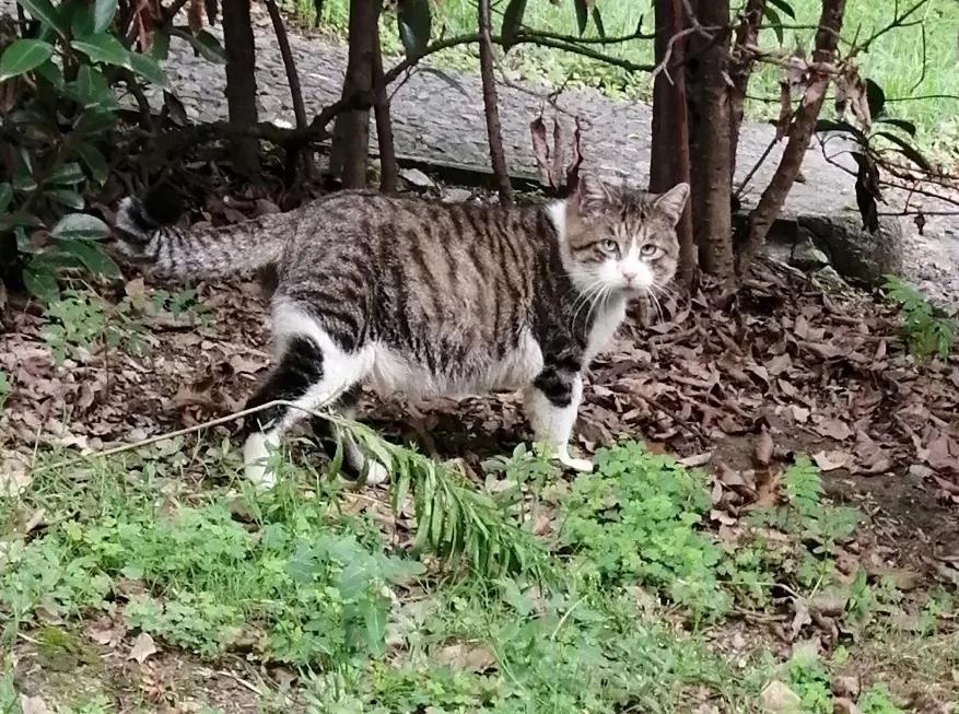 东园好玩的景点推荐,东园旅游景点推荐