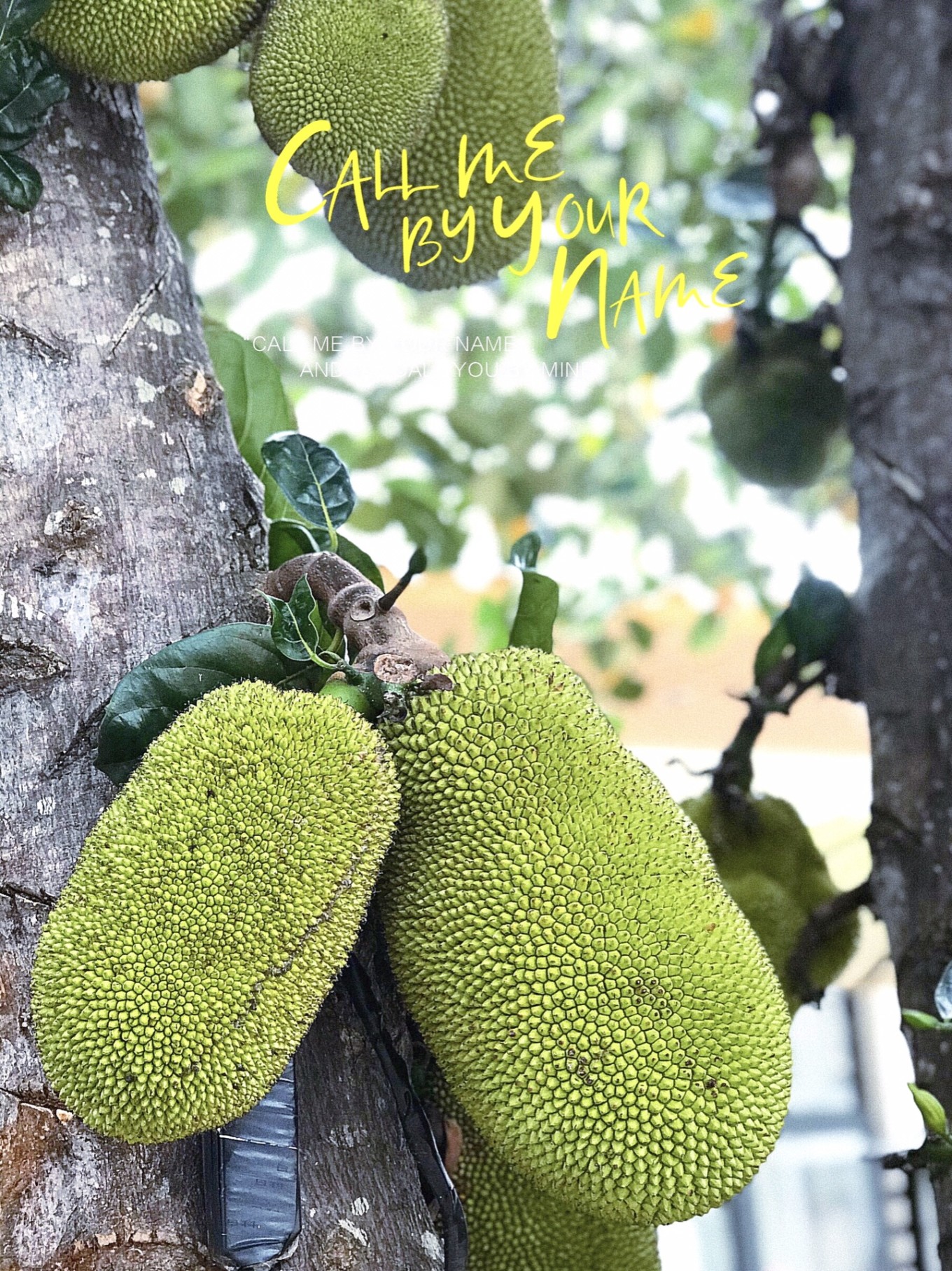 带你玩转北海涠洲岛最全攻略,带你去看海涠洲岛3天2晚行程推荐