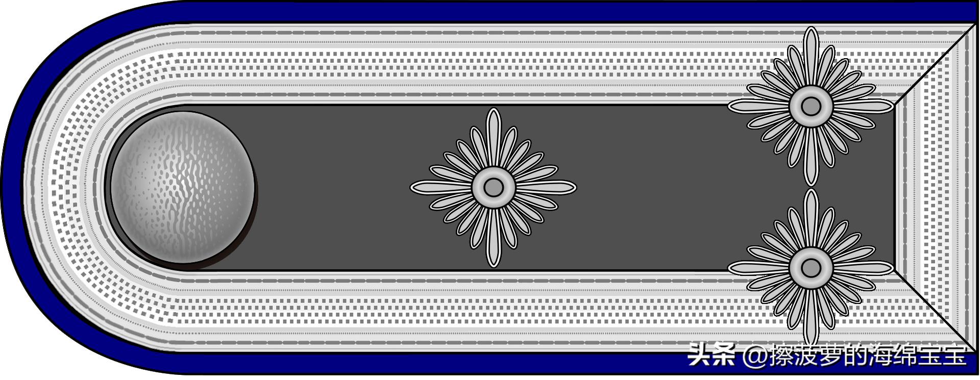 二战德国国防军医疗兵军衔标志