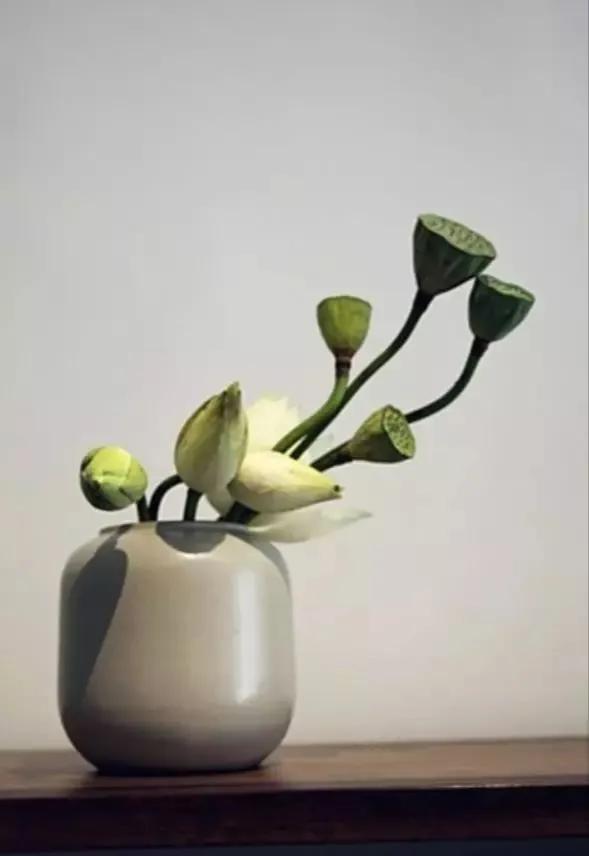 我的家庭回忆录在线阅读,我的家庭回忆录范文