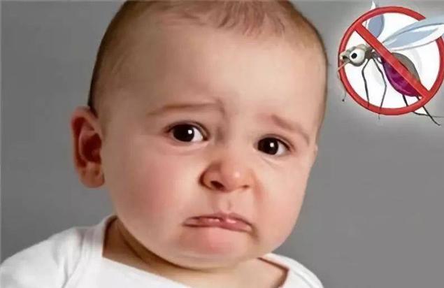 夏天蚊子多宝宝总是被咬,夏天宝宝老是被蚊子咬怎么驱蚊