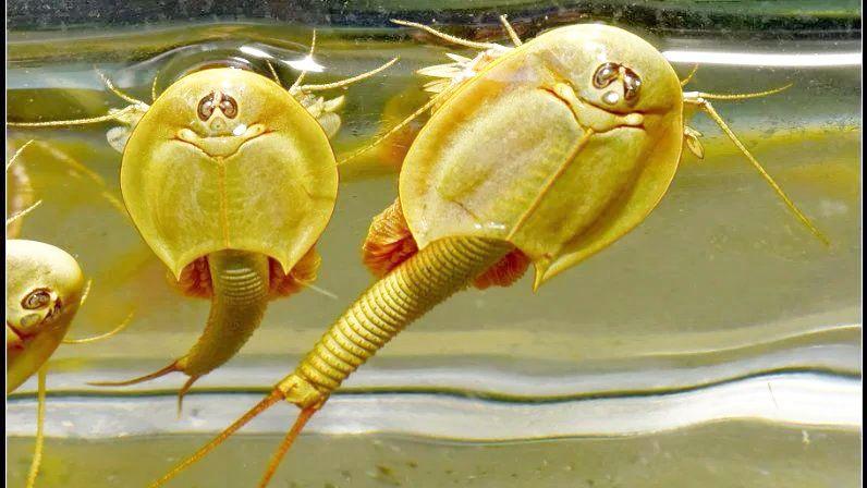 我亲身经历的社会事件作文,社会经历和感悟