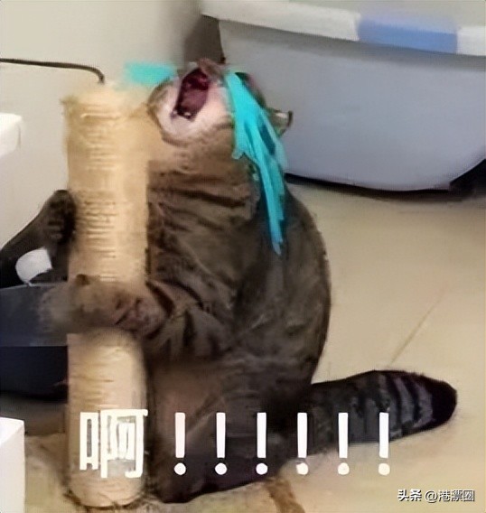 哭了!等了3年,终于通关了