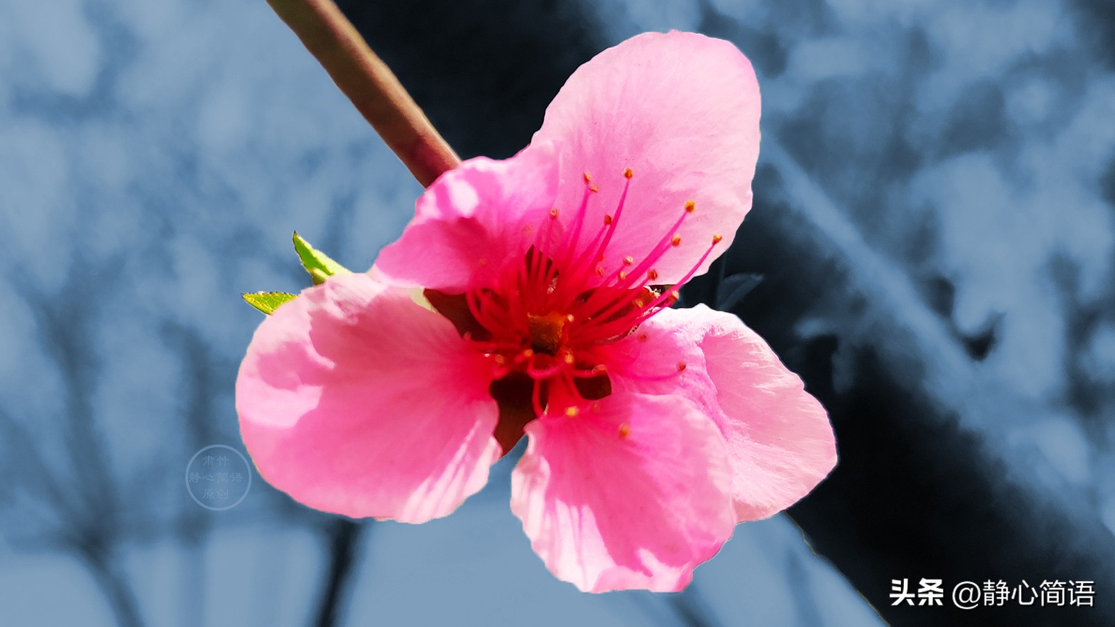 没有拉黑是给彼此最后一点尊重,没有拉黑只是不想有任何联系