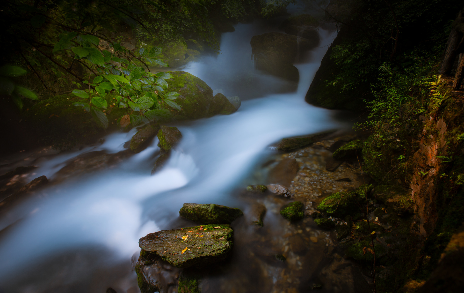 ps2024神经滤镜各功能使用教程,ps2024神经滤镜有哪些功能