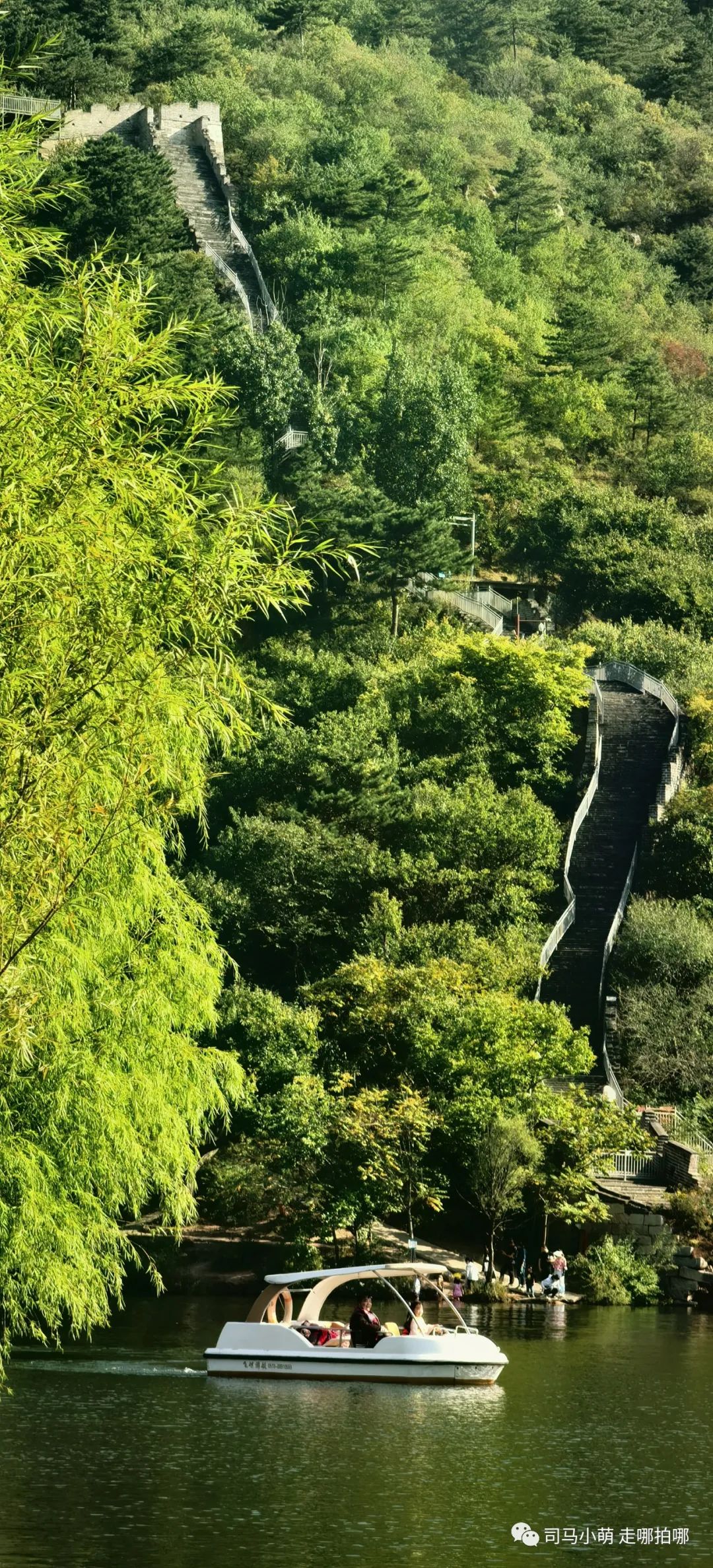 萌萌细语｜准备为我治咽炎，哥们用大瓦罐栽种水芹菜