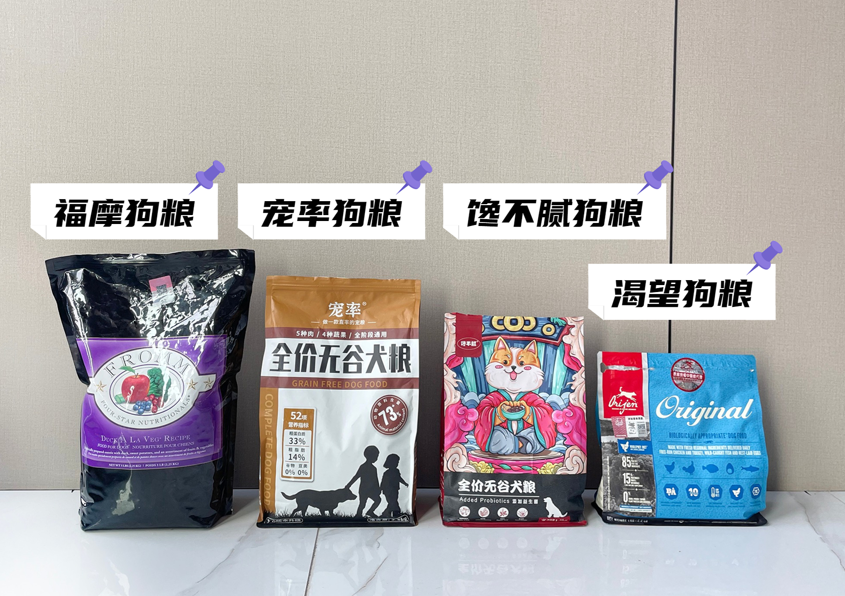 养柯基幼年需要注意的一些事项,养三个月幼崽柯基新手要注意什么