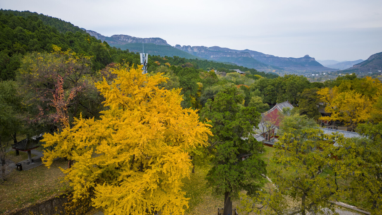 济南赏秋,秋天济南去哪里赏秋最好