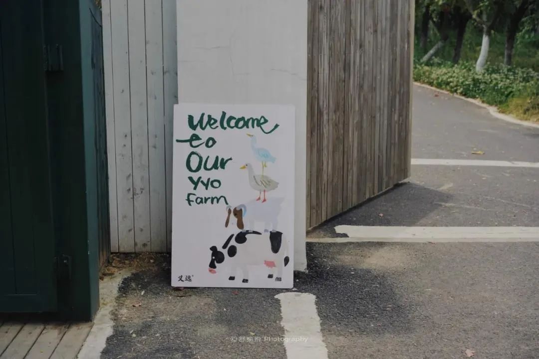 适合夏天避暑旅游的地方,适合夏天避暑的旅游地方