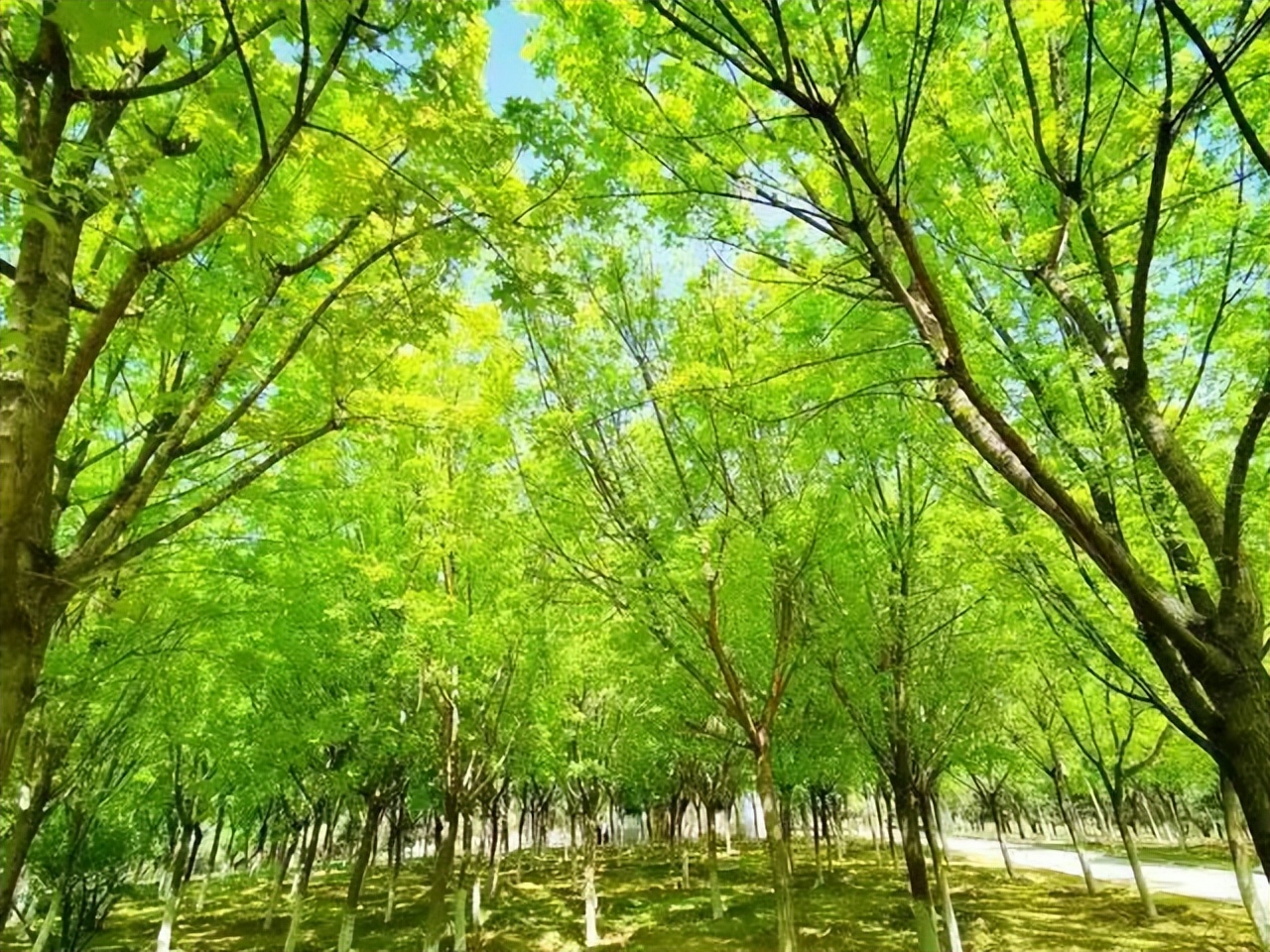 五一北京出游踏青去哪玩比较好呢,丰台夏天旅游攻略