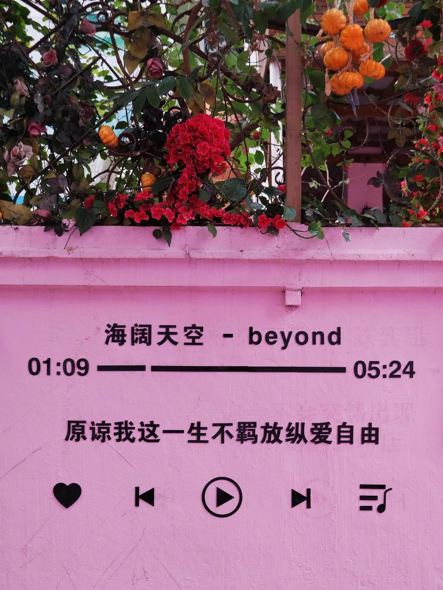 走遍鼓浪屿打卡,鼓浪屿歌词墙打卡