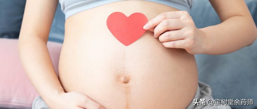 苦丁茶不是药为什么可以治病,入药的苦丁茶能不能喝