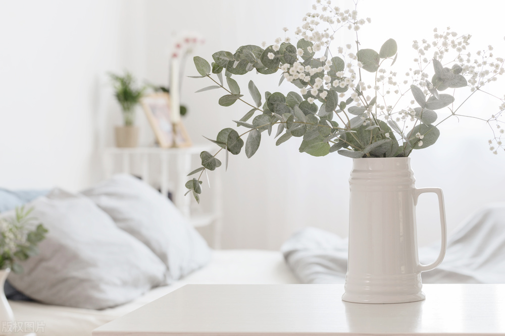 自媒体如何制作视频才能有收益,做自媒体怎么发视频收益最高