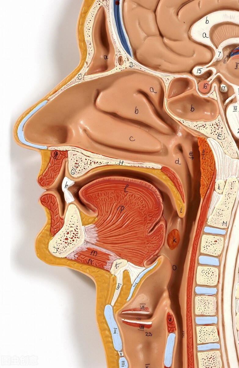 长期咳嗽久治不愈会是肺癌吗,长期咳嗽久治不愈挂什么科