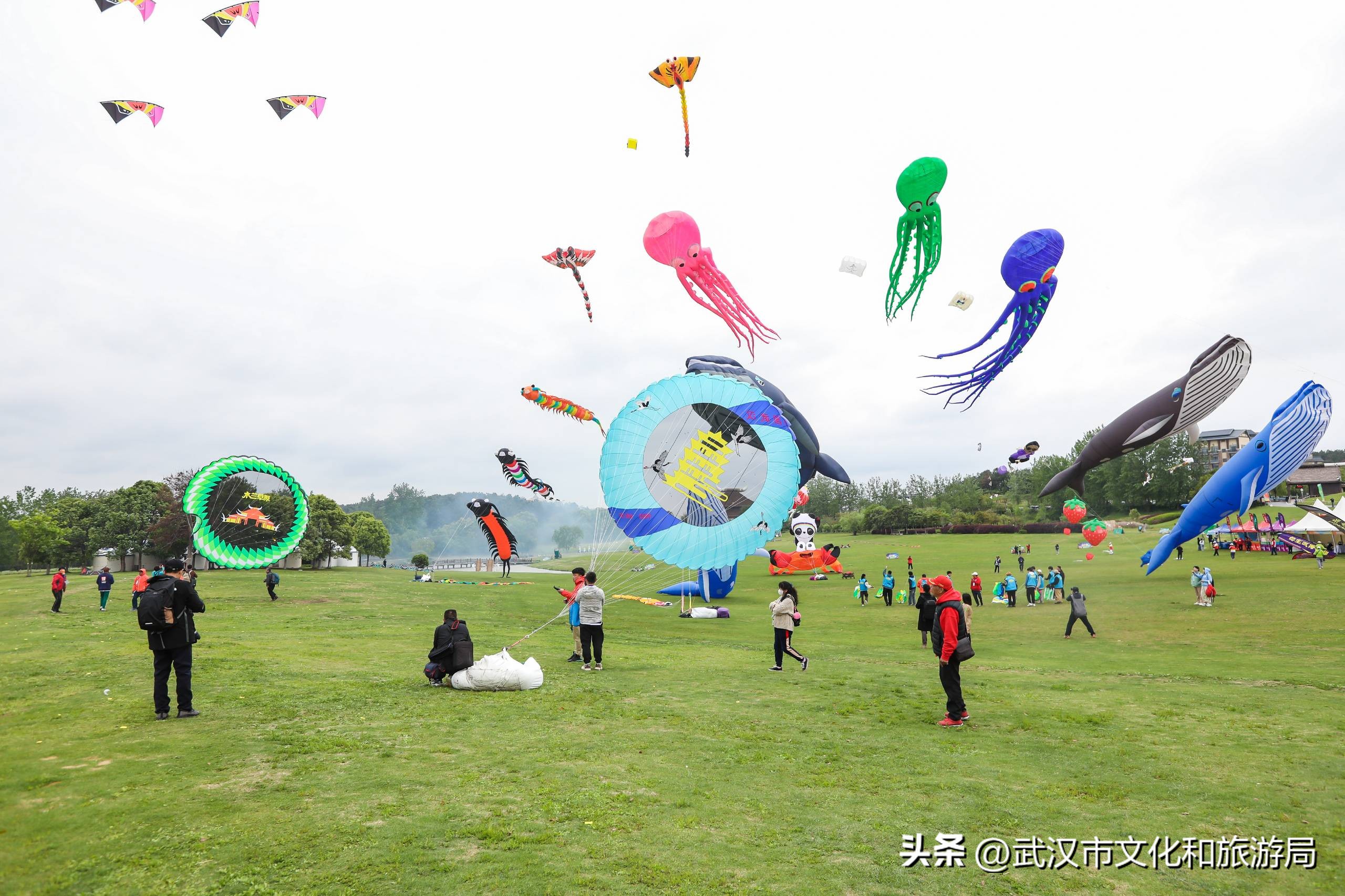 2023木兰草原国际风筝节,2022年木兰草原风筝比赛