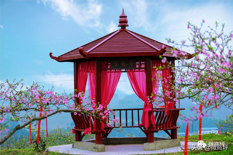 登顶热搜,登上热搜头条