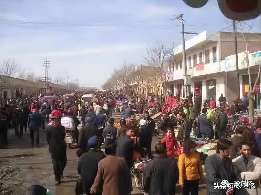 香喷喷的清炖羊肉,那碗热腾腾的面400字