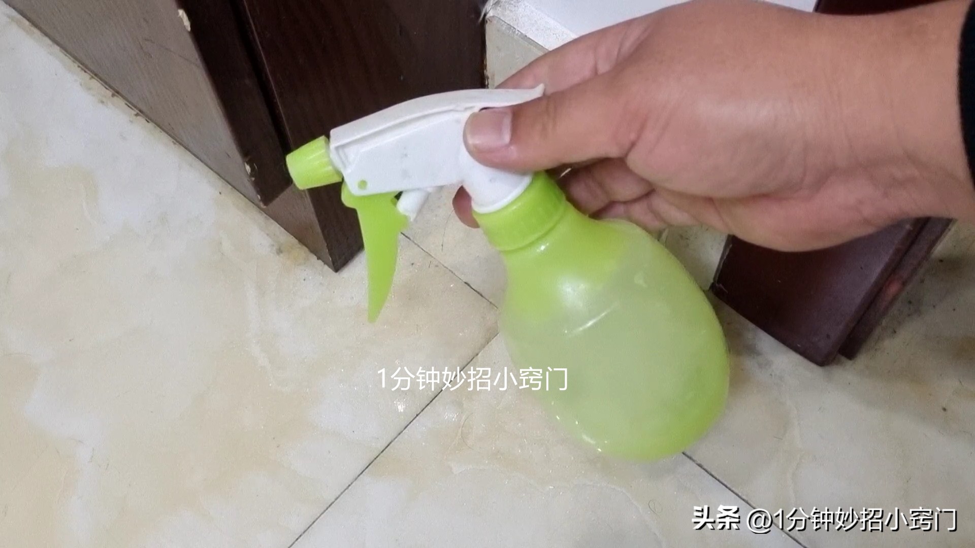 蚂蚁窜到家里用啥东西给它赶走,家里有蚂蚁撒点它一窝端