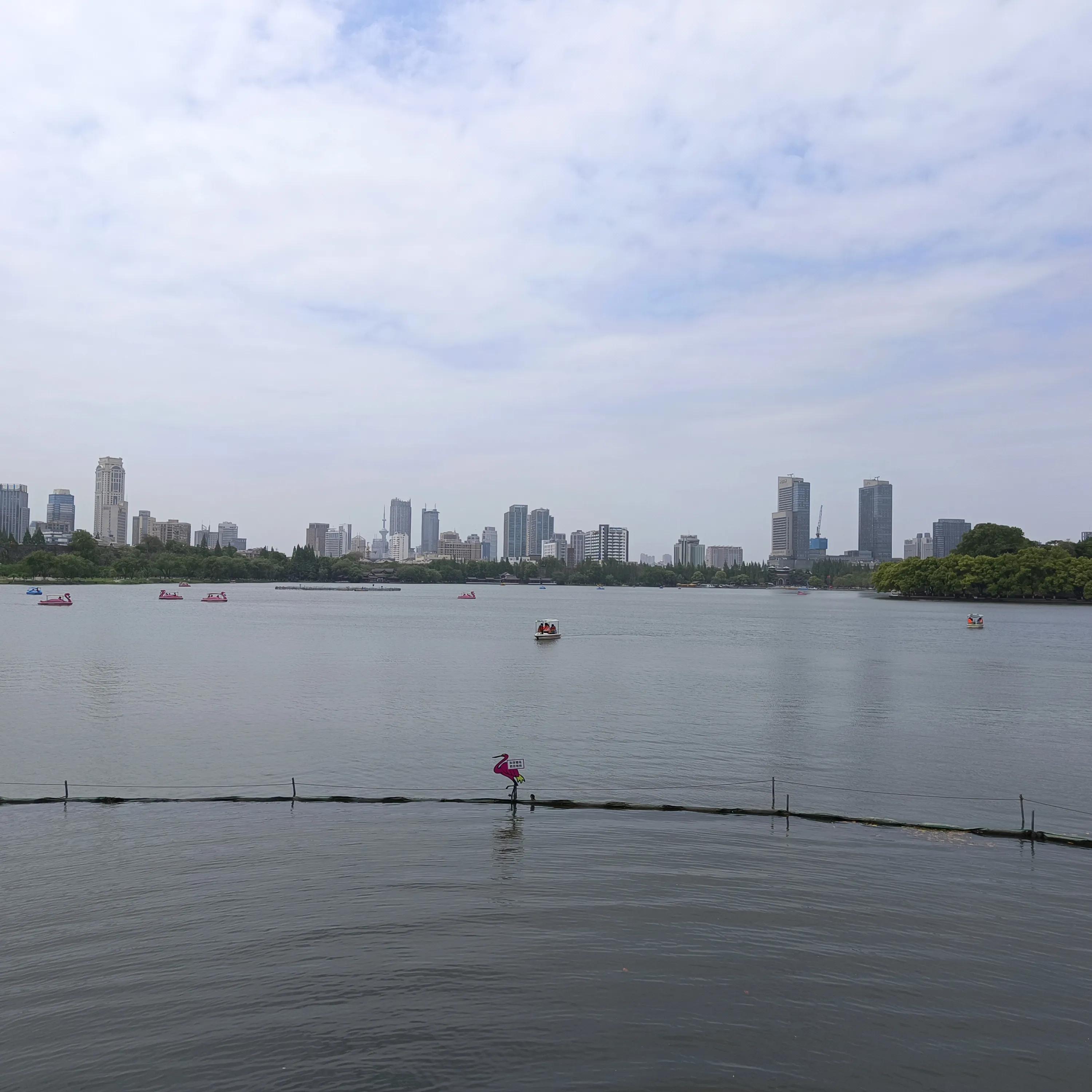 读书分享会发言稿,读书分享会分享一本好书