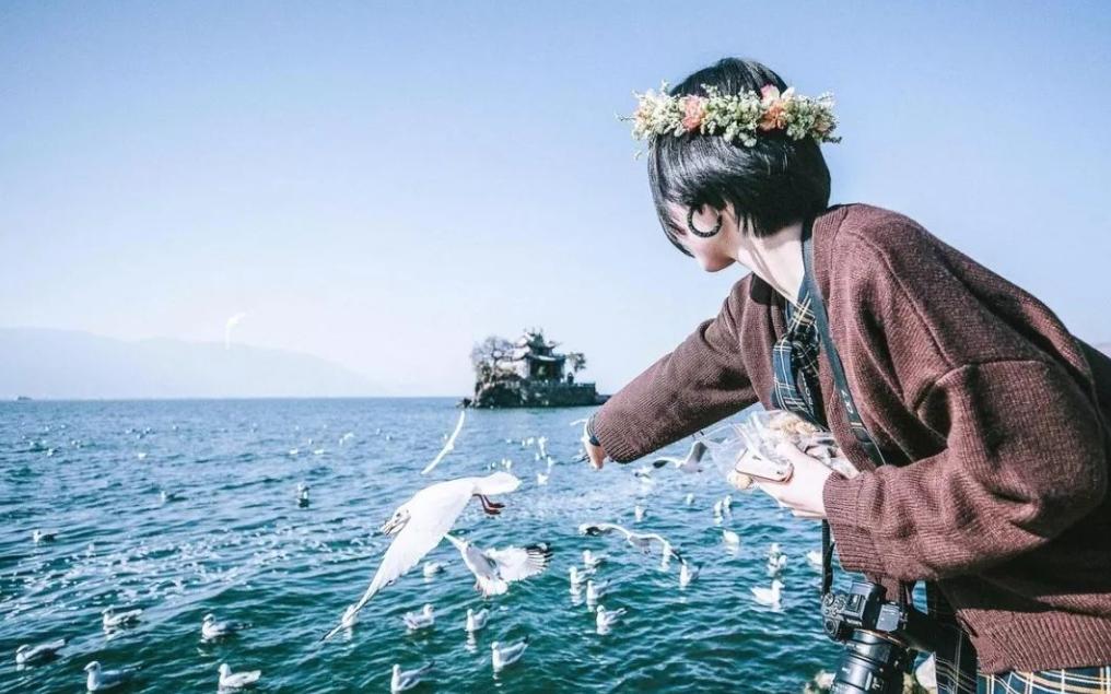 国外旅游信息系统现状,国内旅游管理信息系统有哪些