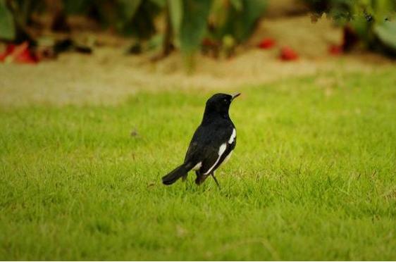 珠海海岛游攻略,珠海情侣路一天一夜游攻略