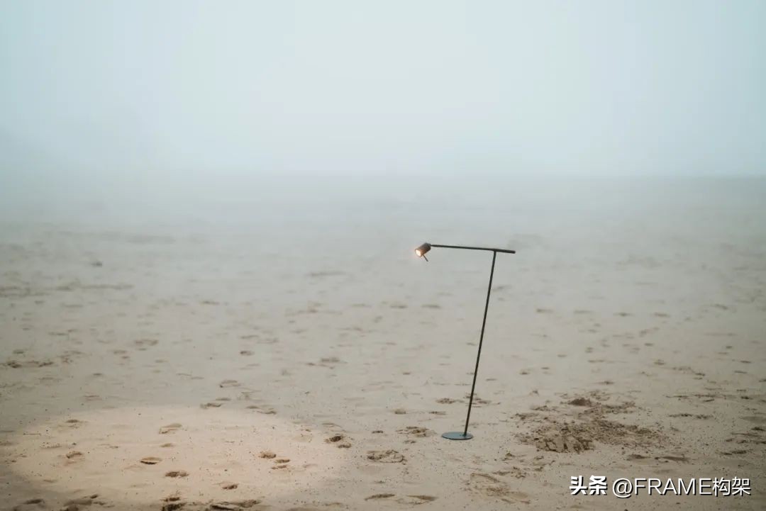 一周最受欢迎|Aesop多伦多体验店、哥伦比亚公寓、日本TreeSays