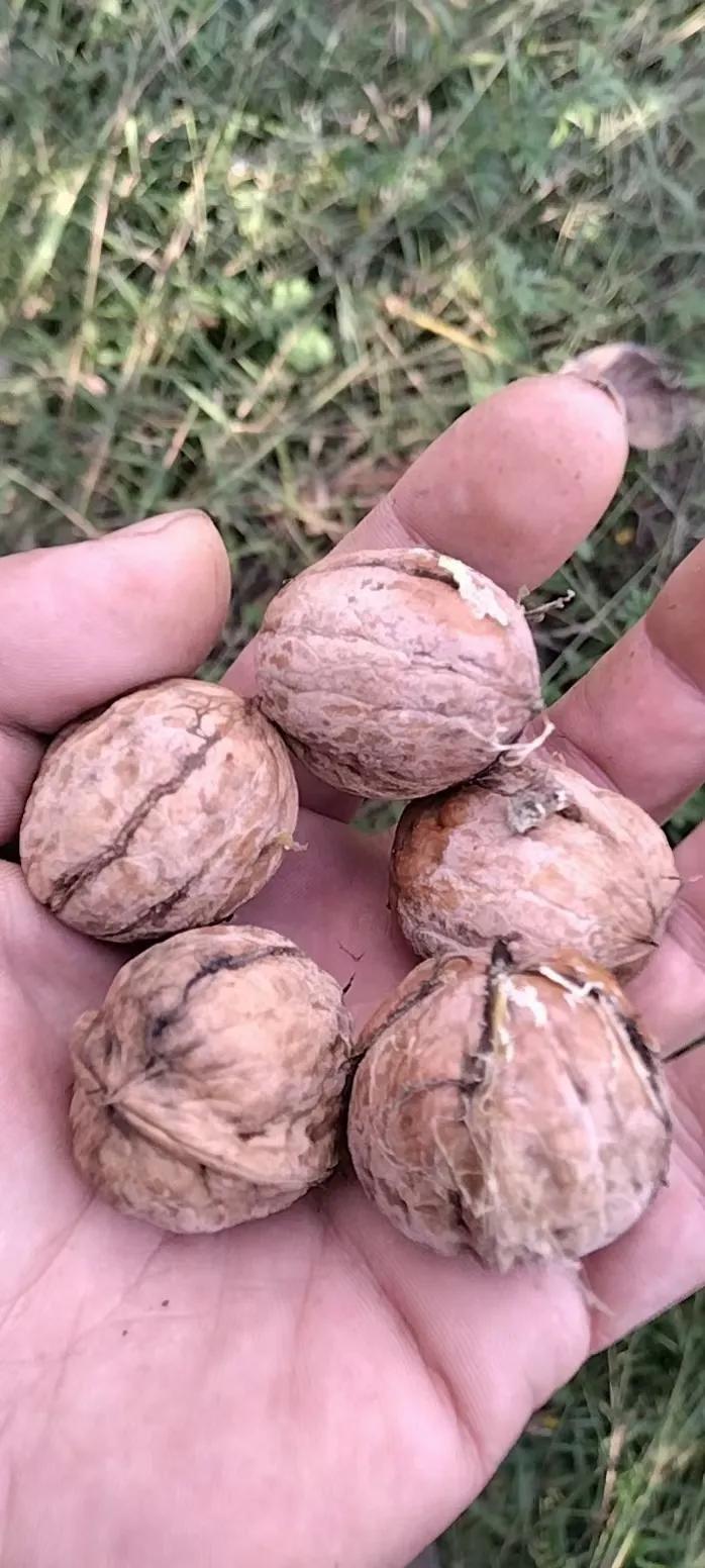 该怎样走出负债困境？