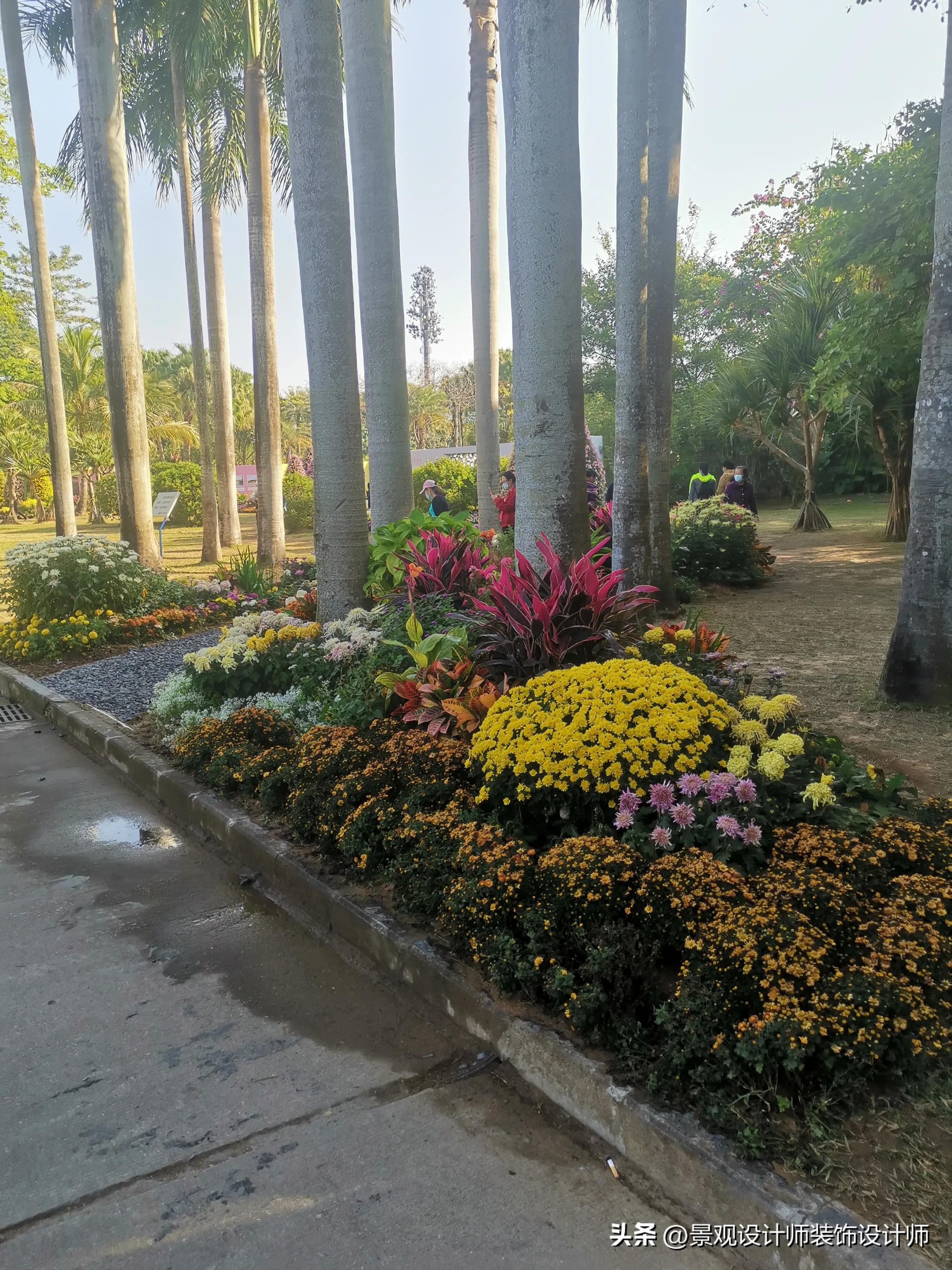 深圳市东湖公园广场舞,深圳市东湖公园收费标准