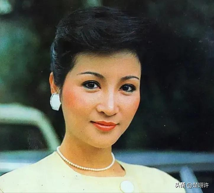 被谢贤养了12年的coco,被谢贤养了12年