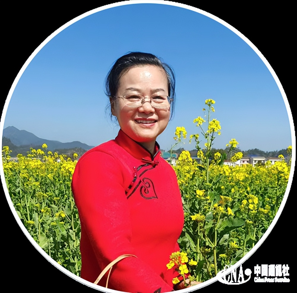 李集画家,平江李集林