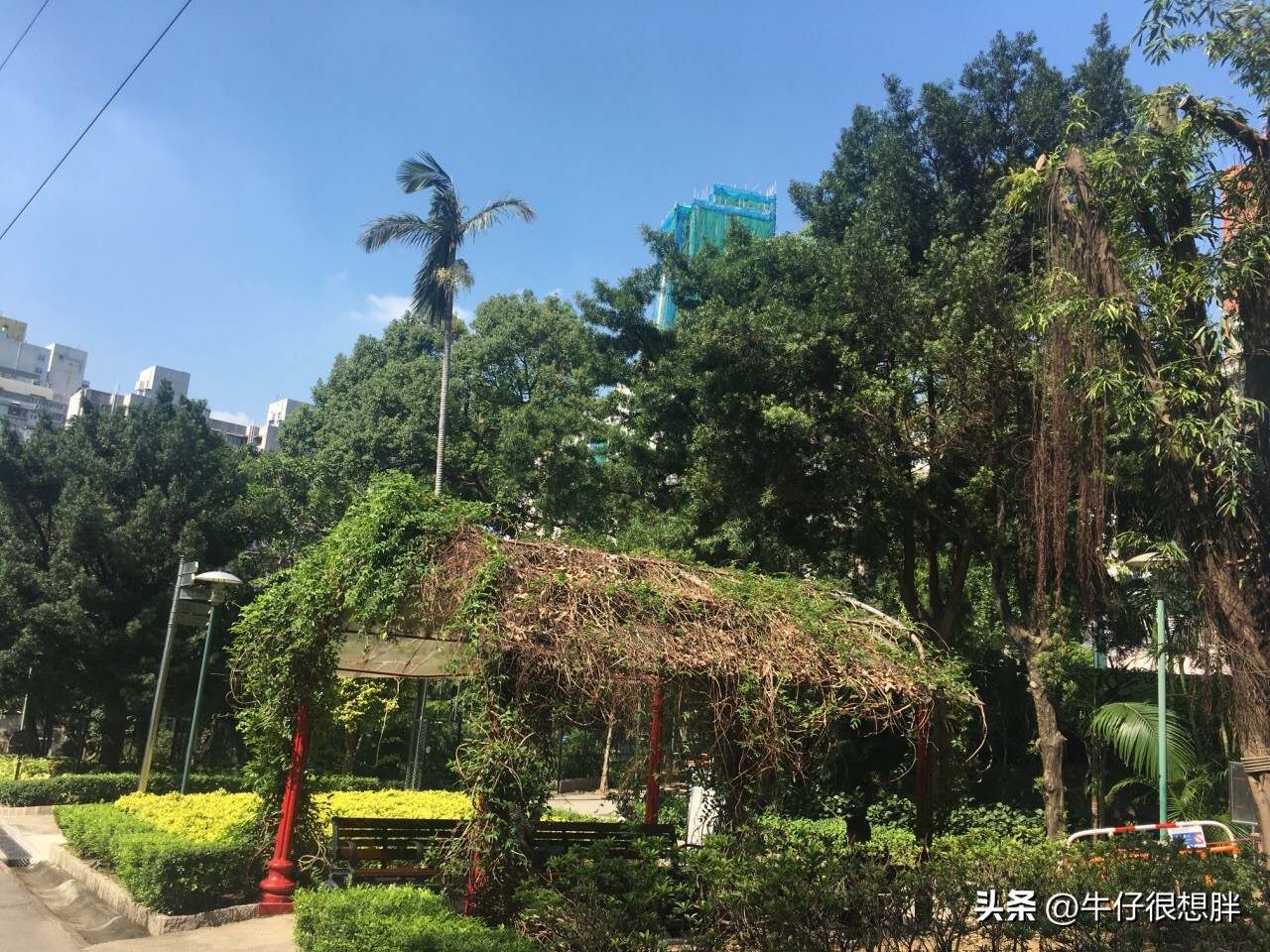 冬天澳门亲子遛娃,去澳门带着小孩逛哪里好玩