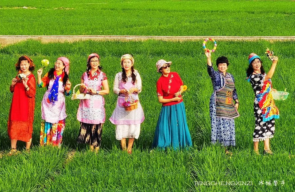 旅居海南：九所新区的浪漫情