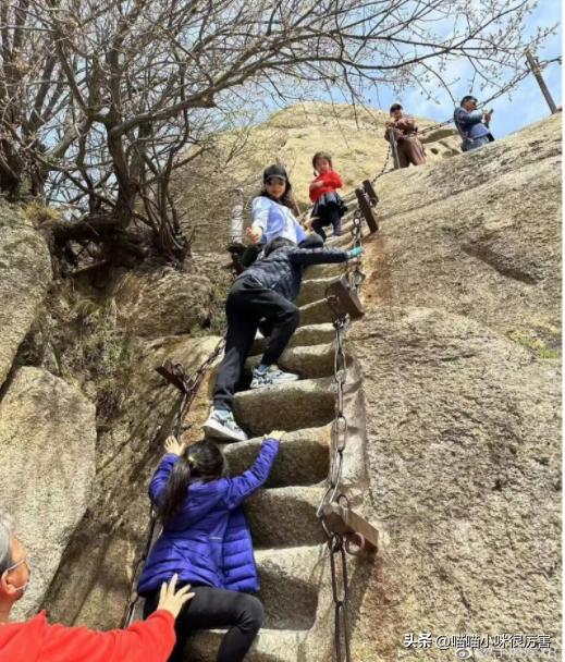 张杰谢娜道歉起波澜，这一次，内娱的毒瘤被扒得“*裤底**”都不剩了