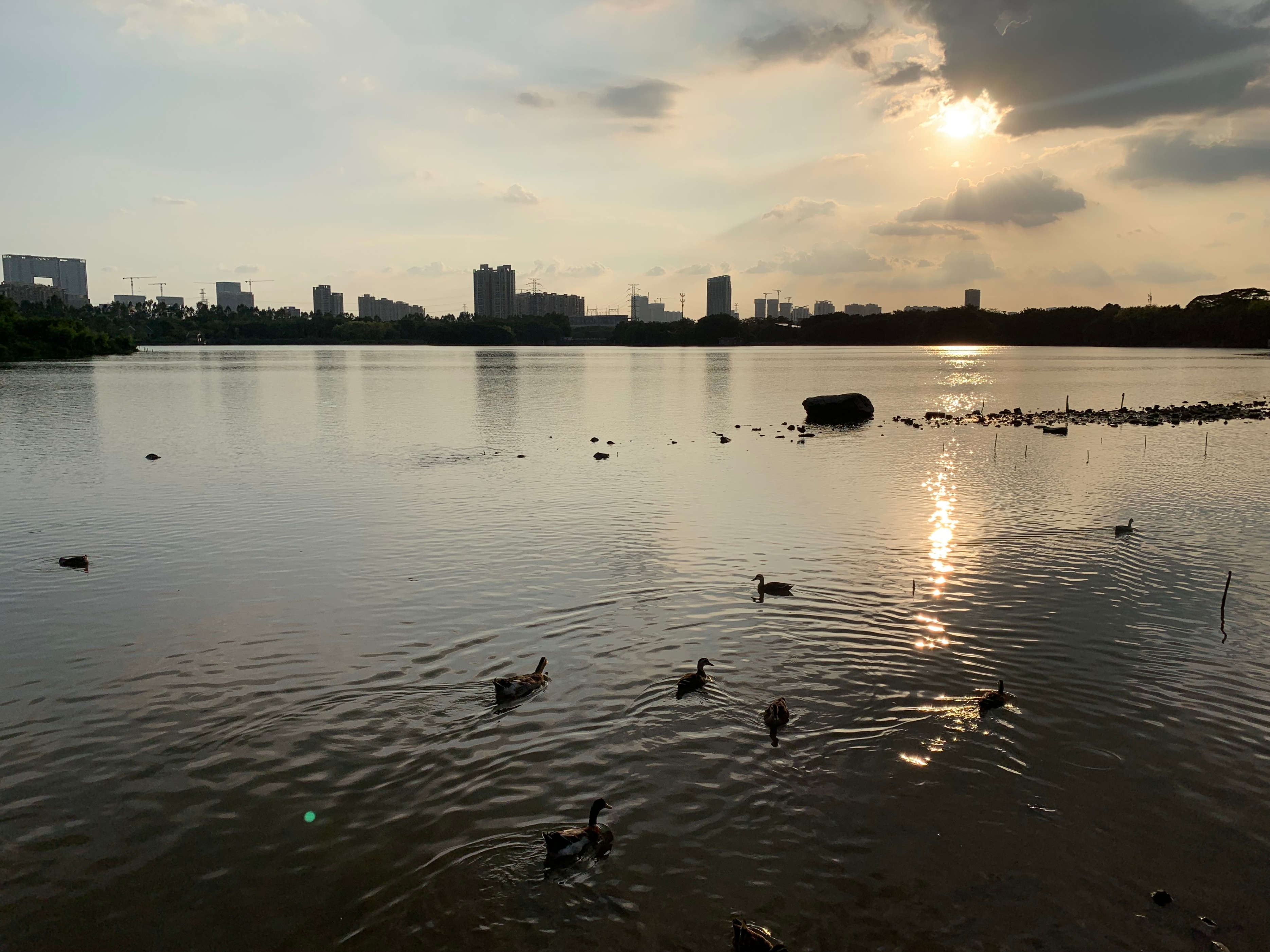 2022海珠湖公园春节游玩,海珠湖湿地公园最佳游玩时间