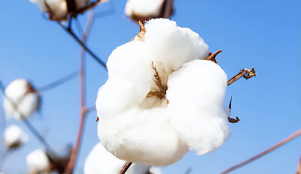 家纺冷知识之面料支数差别,家纺面料支数32x21是什么意思