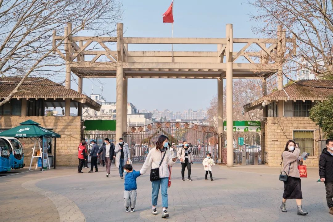 红山动物园亏损3千万网友很着急,近两年疫情原因导致亏损如何翻身