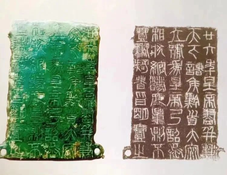 2022阿朵暑期研学季·竹马自然探学|沉浸式自然教育，探寻真假“海上方”