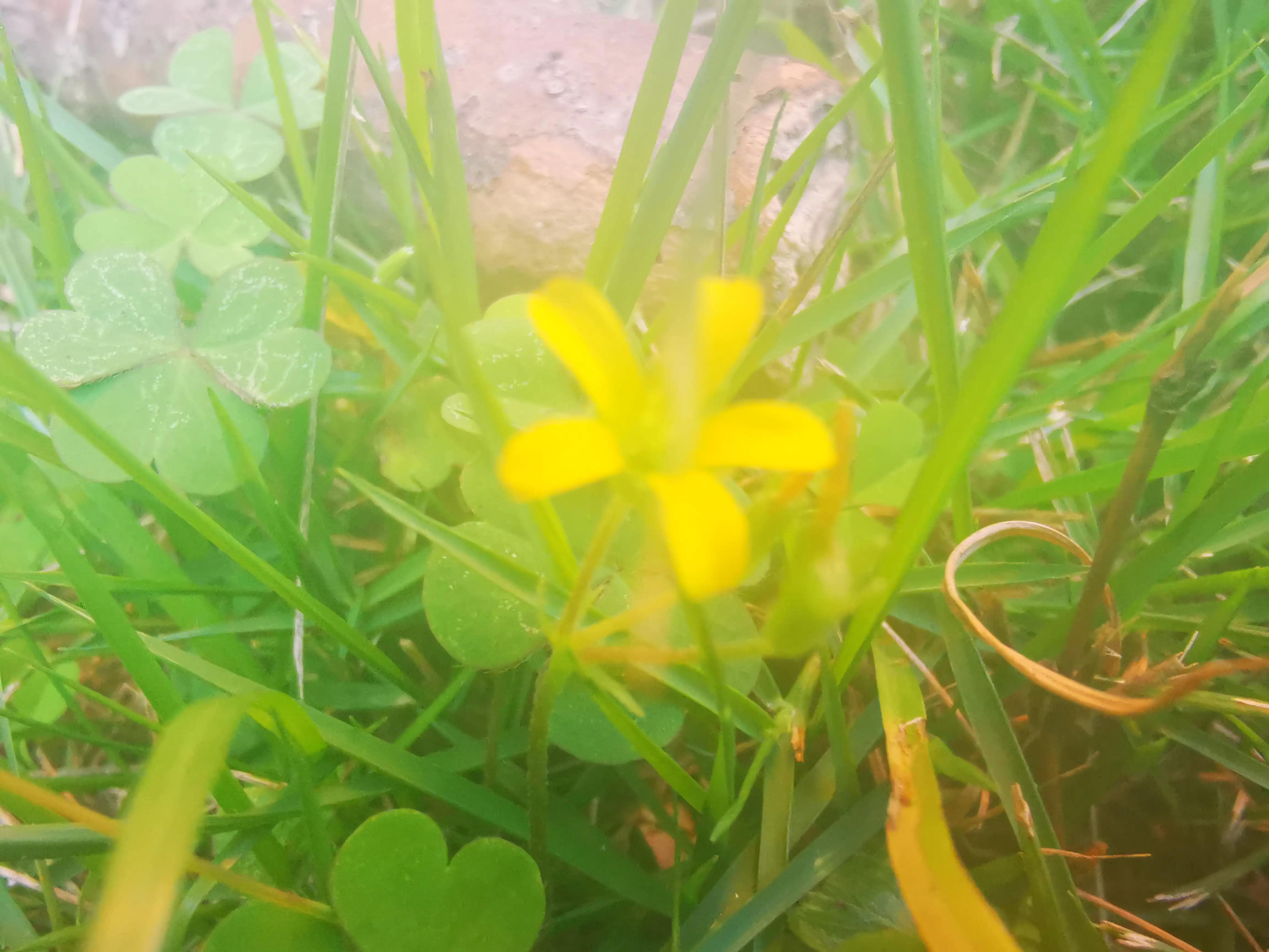 默克尔评价中国力量,默克尔对美国反制措施