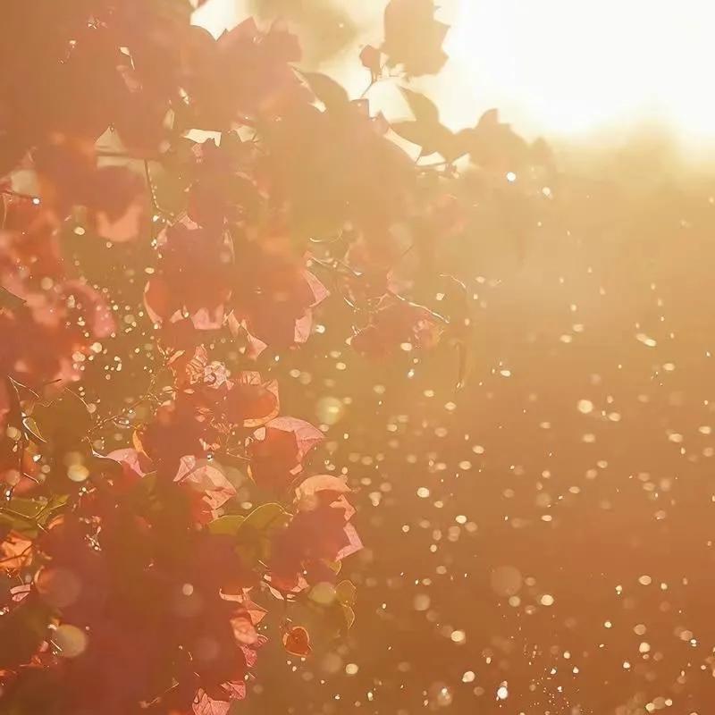 适合做个性签名的经典语句有哪些,适合写微信个性签名的句子