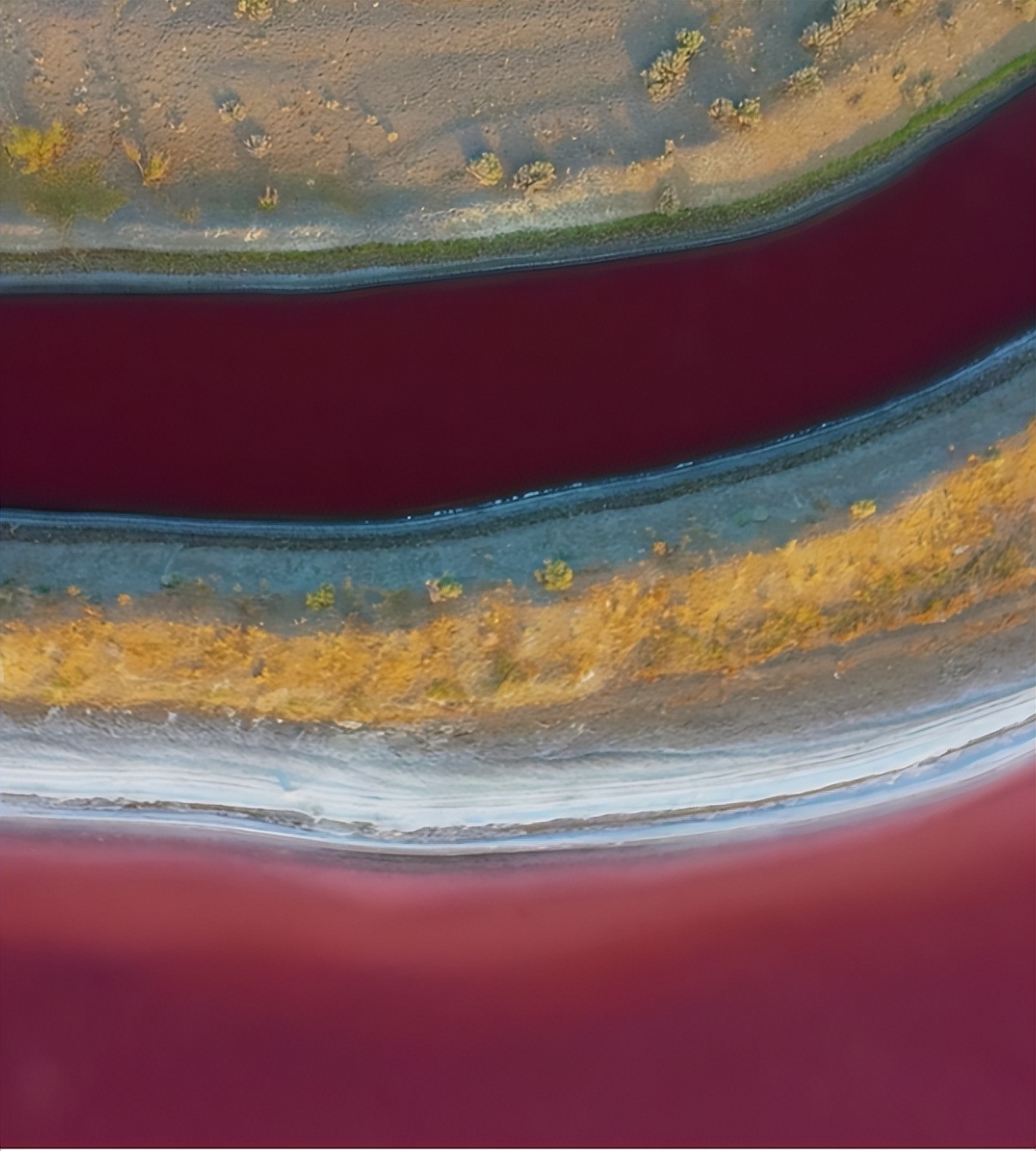 向北向北！|“美”在内蒙古