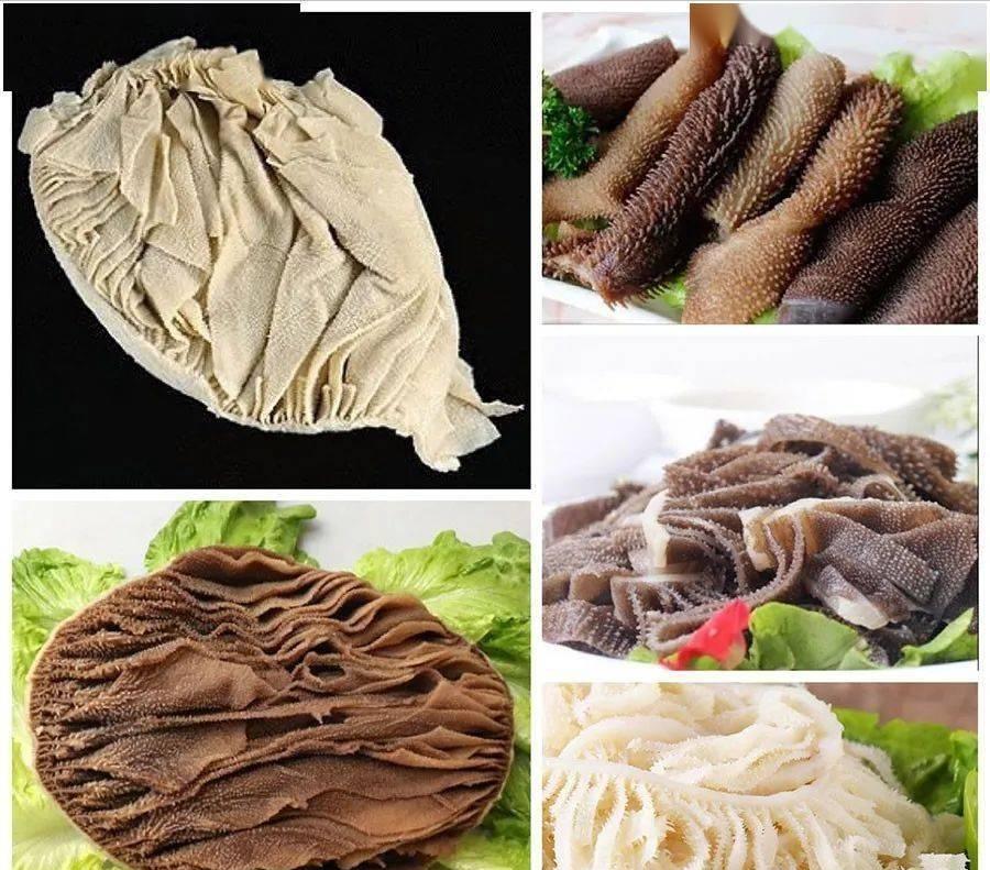 毛肚是不是百叶,毛肚是不是就是牛肚