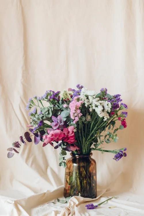 己所不欲勿施于人出处,己所不欲勿施于人的出处和理解