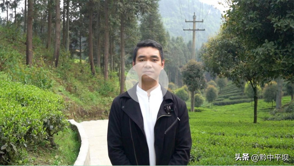 黔茶飘香贵州茶博会,黔茶飘香都匀毛尖茶