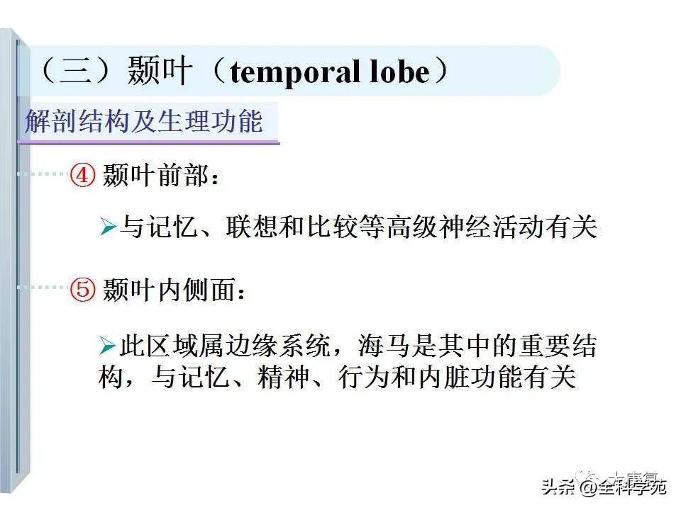 神经系统的影像与解剖定位,最全神经解剖图