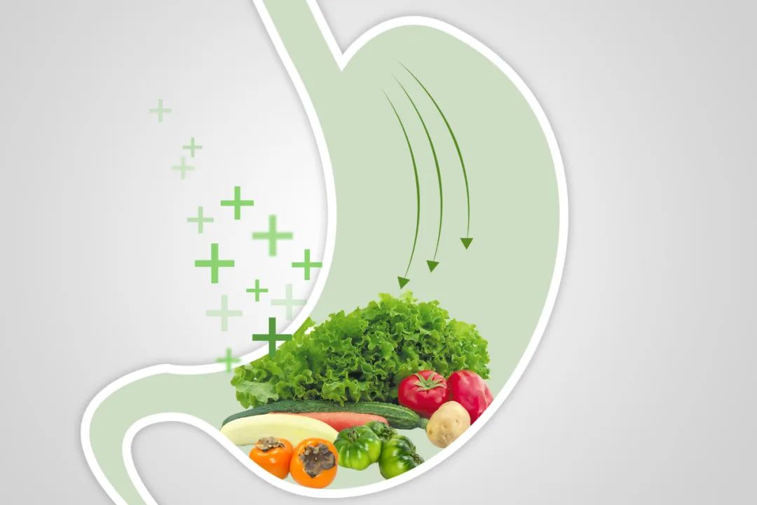 谷雨养生秘诀大全,谷雨前后每日养生小知识