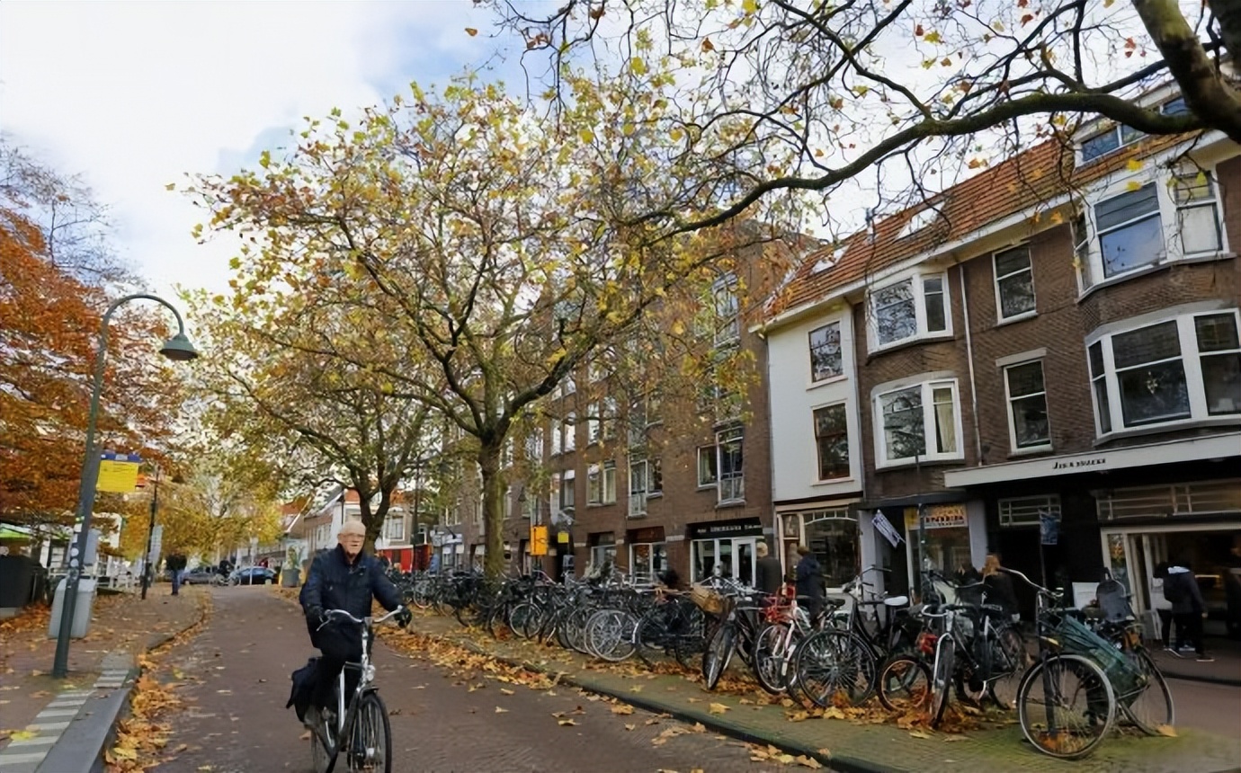 荷兰旅行自行车,荷兰骑自行车旅游