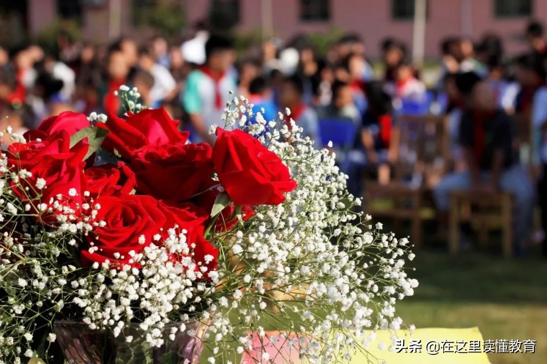 西安红杉树小学学费,西安长安红杉树小学招生